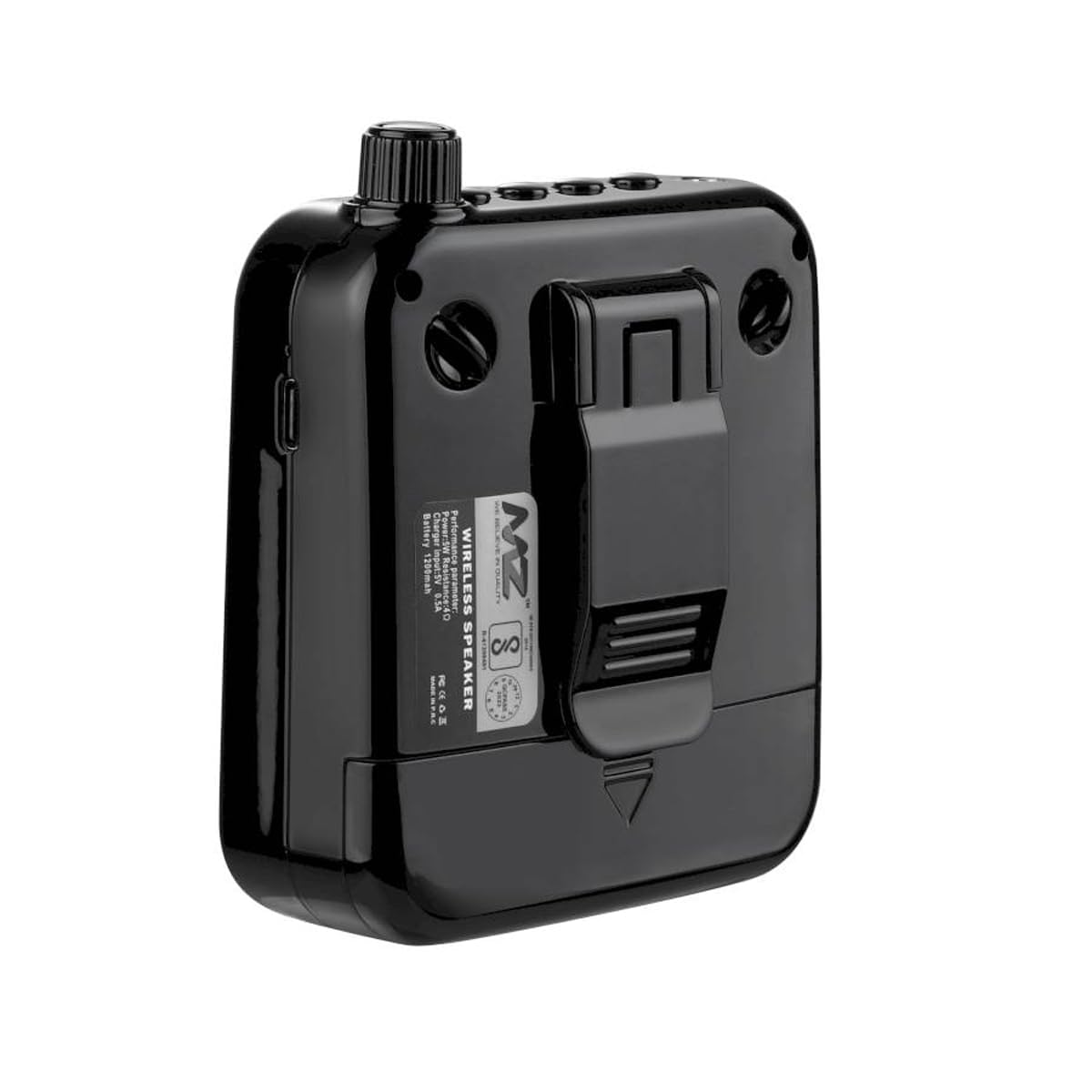 Portable Voice Amplifier