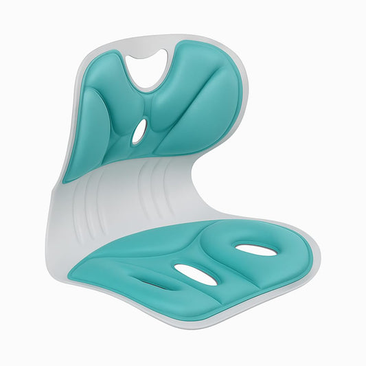 Ergonomic Back Support Cushion