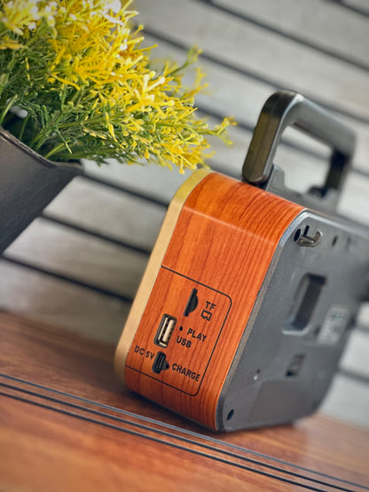 MZ Series A Retro Radio Speaker (Model S666)
