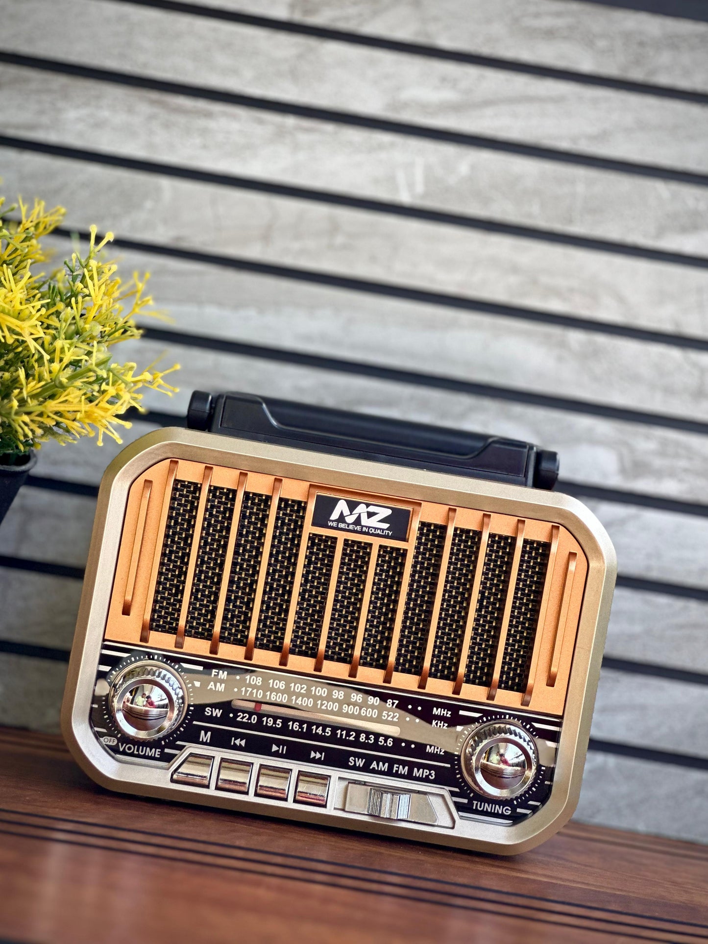 MZ Series A Retro Radio Speaker (Model S666)