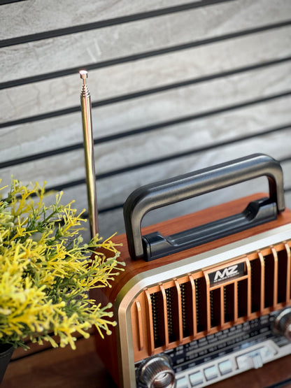 MZ Series A Retro Radio Speaker (Model S666)