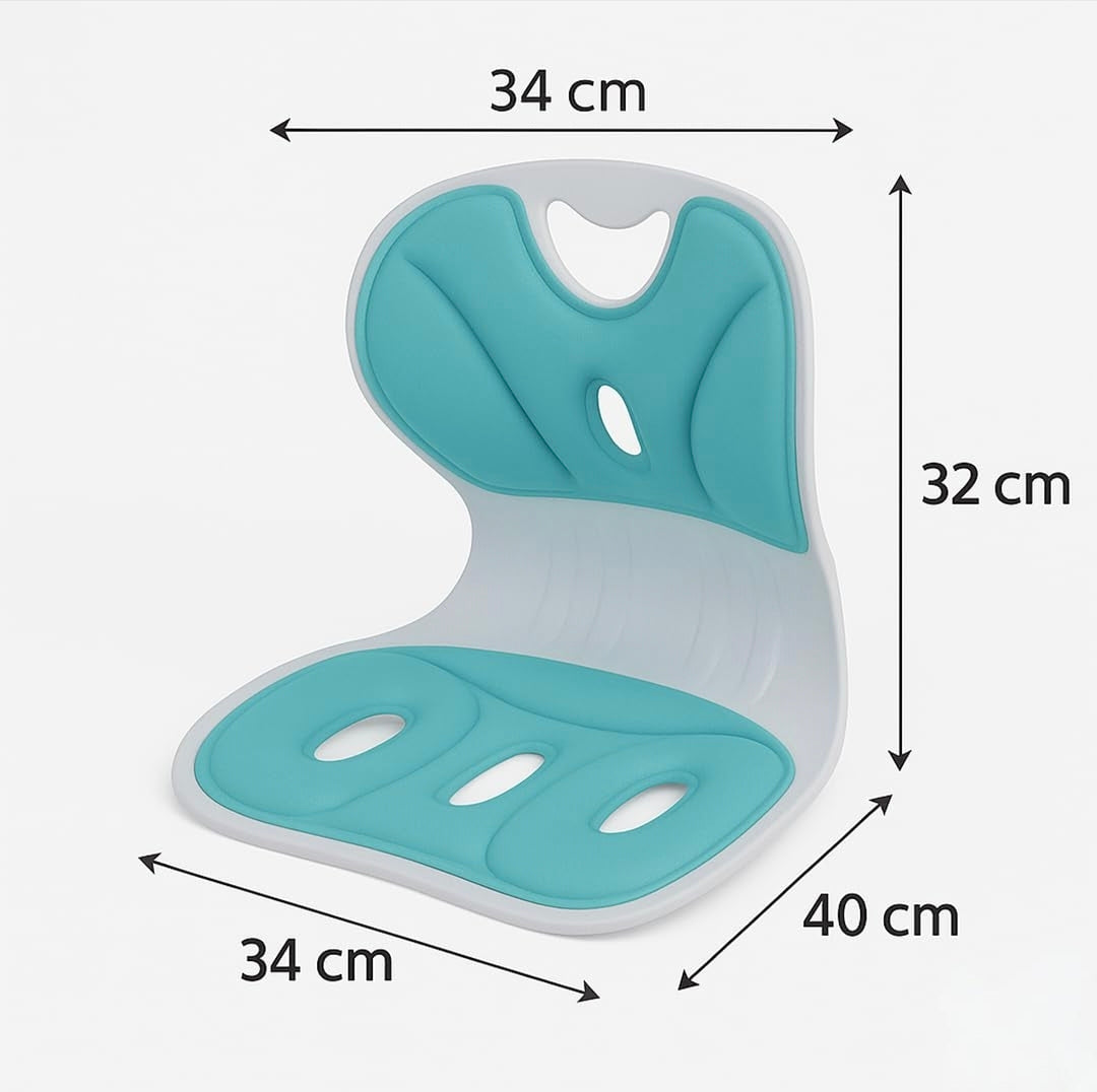 Ergonomic Back Support Cushion